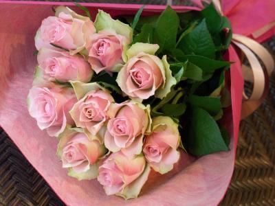flower shop シャムロック｜新宿,四谷,四谷二丁目のお花屋さん
